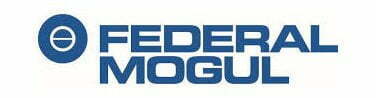 Federal-Mogul Goetze (India) Ltd